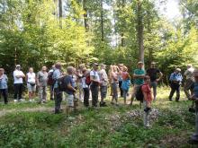 Oderwald - Las odrzański celem wizyty leśników szwajcarskich