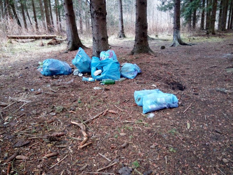 Śmieci wyrzucone do lasu
