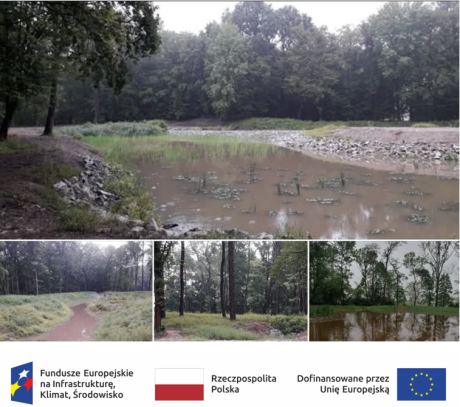 Postępowanie w ramach projektu: „Kompleksowy projekt adaptacji lasów i leśnictwa do zmian klimatu - mała retencja oraz przeciwdziałanie erozji wodnej na terenach nizinnych – kontynuacja (MRN3)