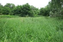 Zaproszenie do składania ofert - „Wykoszenie łąk zebranie z nich biomasy wraz z wywiezieniem poza teren koszenia”