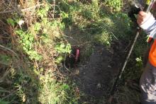 Prace goedezyjne - zaproszenie do składania ofert